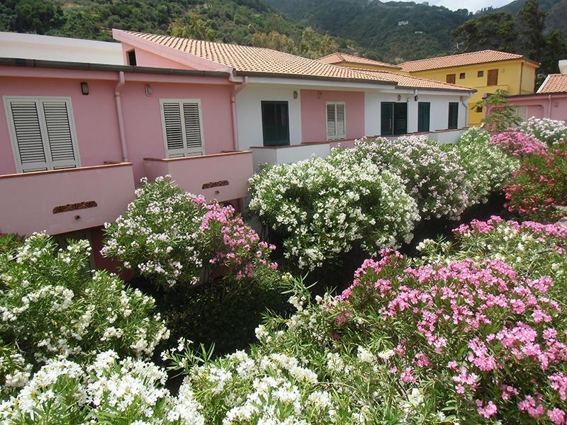 Villaggio Hotel Club Calanovellamare Piraino Esterno foto