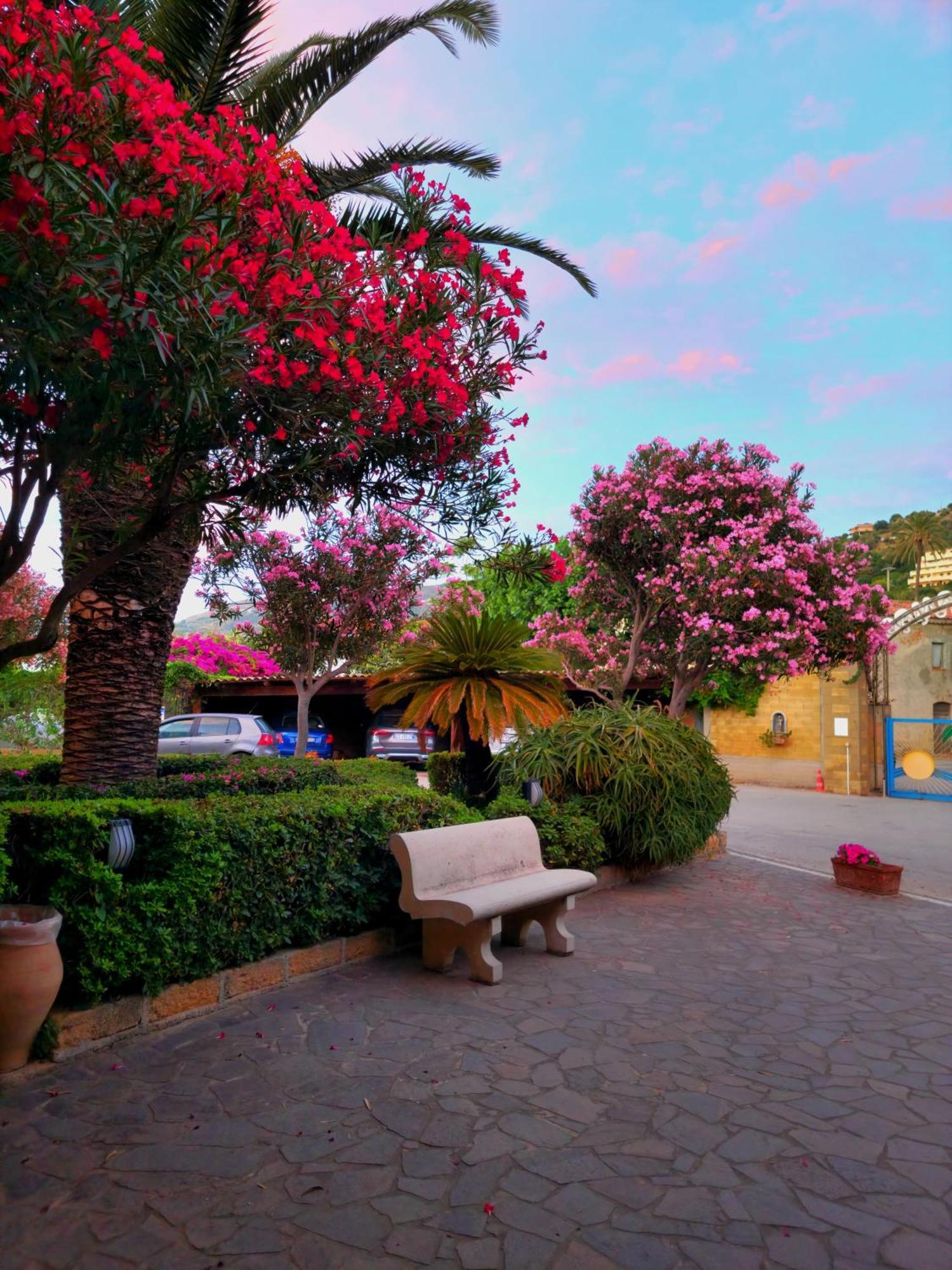 Villaggio Hotel Club Calanovellamare Piraino Esterno foto